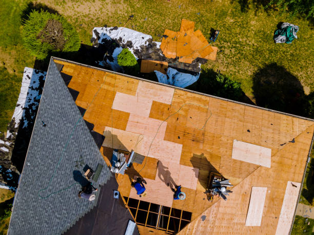 Best Storm Damage Roof Repair  in Skyline, AL