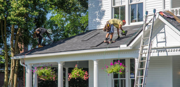 Gutter Installation and Roofing in Skyline, AL